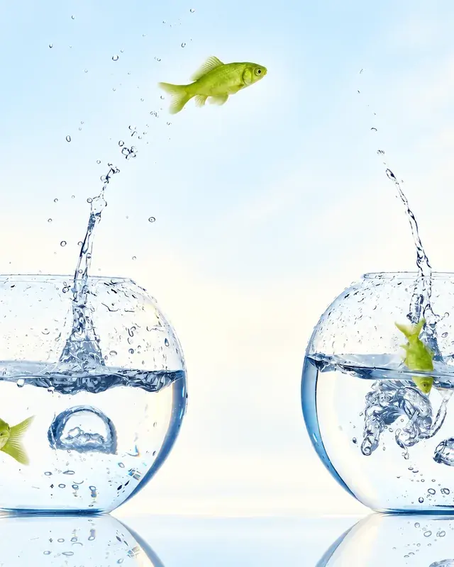 Zwei grüne Fische springen zwischen Glasschalen mit Wasser als Sinnbild für den Wechsel der E-Commerce-Plattform