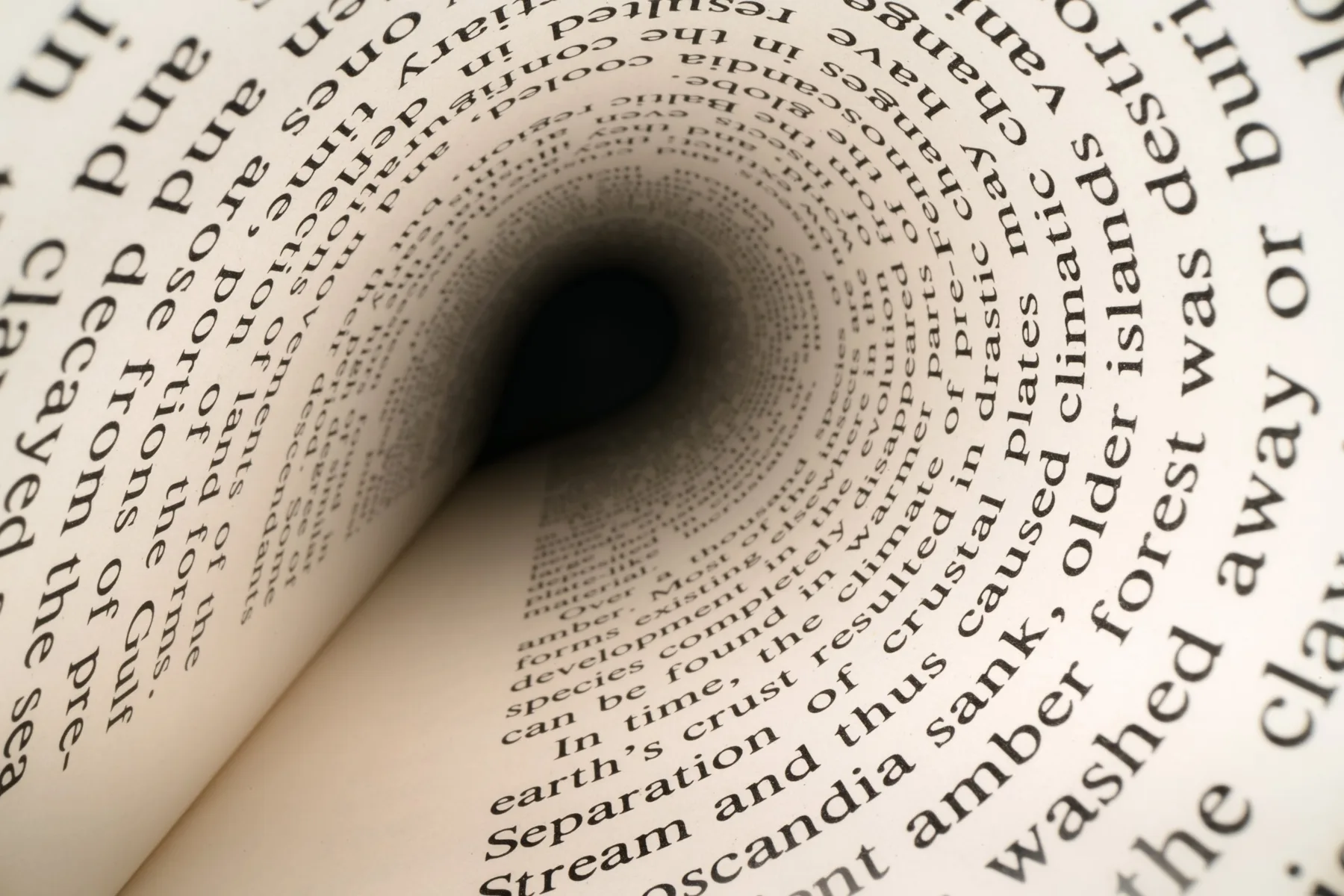SEO: Beispielbild