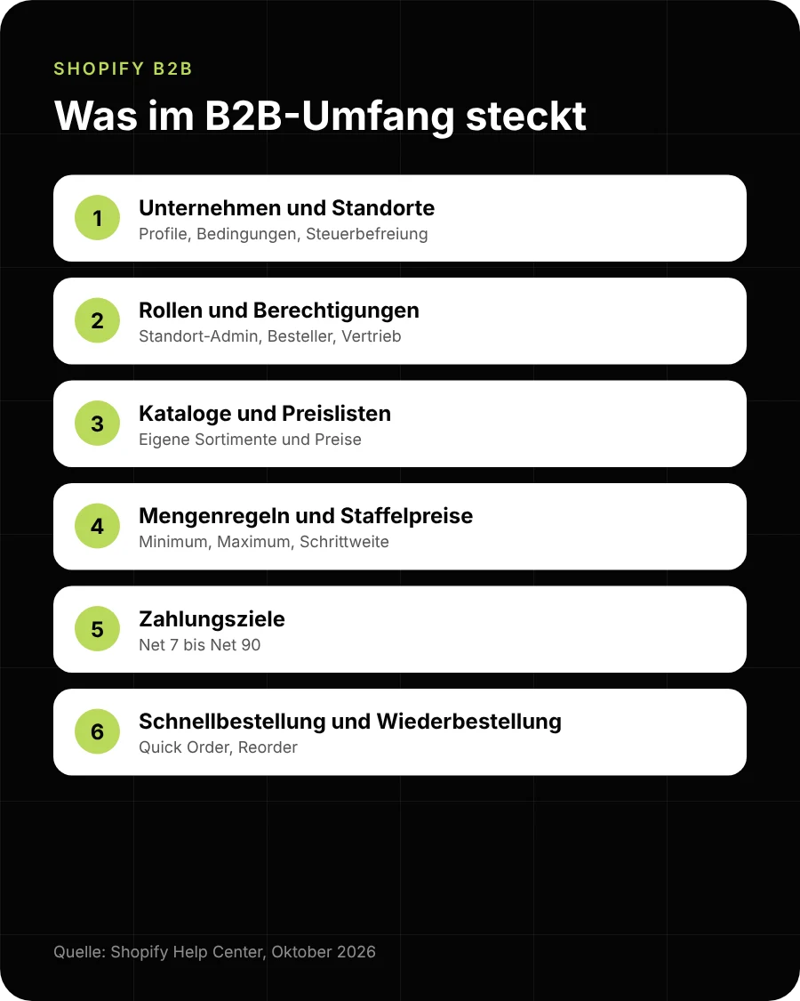 Shopify B2B Funktionen: Unternehmen, Standorte, Kataloge, Mengenregeln, Staffelpreise, Zahlungsziele, Wiederbestellung